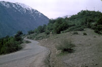 Chile (Farellones) - Mountain road, between 1966-1967