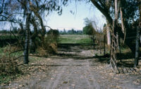 Chile (Curicó) - Fundo Curicó, lane with gate, between 1966-1967
