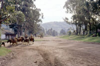 Chile - Country road, between 1966-1967