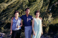 Chile - Willow tree, portrait of three people, between 1966-1967