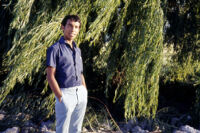 Chile - Willow tree, young man portrait, between 1966-1967