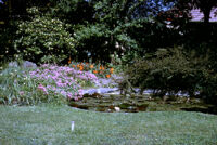 Denmark - Flowers, between 1966-1967