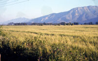 Chile (Central Valley) - Coastal Range Mountains, between 1966-1967