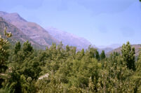 Chile (Cajón del Maipo) - Mountain scene, between 1966-1967