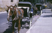 Mexico (Guadalajara, Jalisco) - Horse and carriage, between 1960-1964