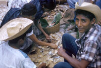 Mexico (Ayutla) - People with dried fish, between 1960-1964