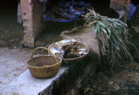 Mexico (Ayutla) - Dried fish in a basket, between 1960-1964