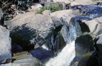 Mexico (Ayutla) - Rushing stream, between 1960-1964