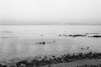 N63 Black and White Negatives: Frame 054   [View of bay, Mumbai (?( (India), 1963]