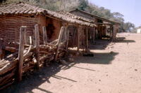 Mexico (Michoacán/Costa) - Shack dwelling, between 1960-1964
