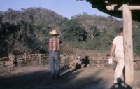 Mexico (Michoacán/Costa) - Farmyard, between 1960-1964
