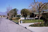 Personal/Misc. - Paved street with houses (Southern California?), 1960s (?)