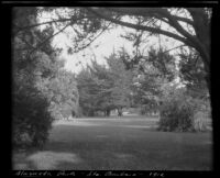 Alameda Park with lawn and trees, Santa Barbara, 1912