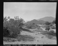 Desert landscape with mountains in the background, Indian Wells (vicinity), 1921