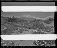 Desert scene with a view of the San Jacinto Mountains, Indian Wells, 1920