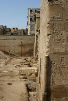 Hypostyle hall of the Temple of Esna