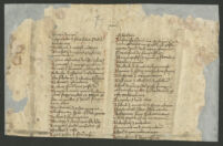 Rouse MS 10. RHAZES et al., SYNONYMA, fragments.